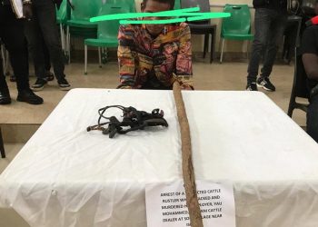 Oyo police arrest herder who killed his employer, buried corpse in shallow grave and absconded with 20 cows and 14 sheep