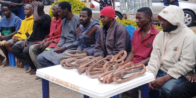 63-year-old man arrested for defiling two sisters aged 4 and 8 in Plateau