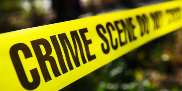 Carjackers abandon gang member after robbery