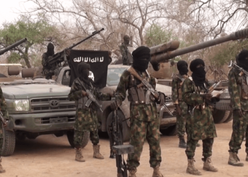 Boko Haram takes over 42 communities, sacks over 5000 villagers in Niger