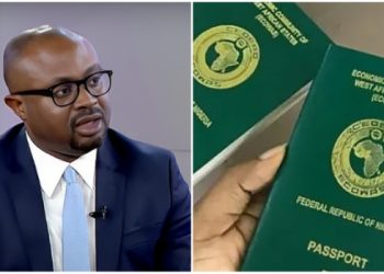 Nigerians May Submit Passport Applications Online From December – Minister