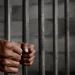 5 persons jailed 60yrs in Niger over possession of human skull