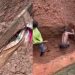 Herbalist accused of excavating grave, steals corpse