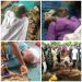 Mentally-unstable man kills 9 villagers in Adamawa