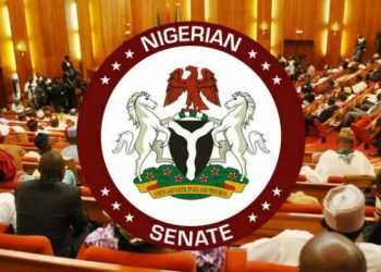 Why We Opt For SUV Vehicles – Senate