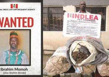 NDLEA rearrests convicted drug kingpin — seven years after escape