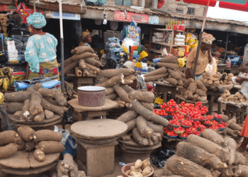 Over 26m Nigerians face acute food shortage by August 2024 — Report