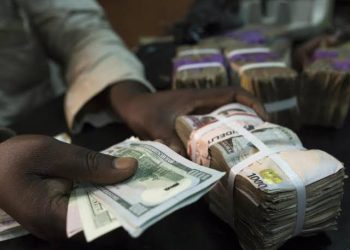 Foreign debt: Financial expert frowns at $7.8bn, €100m fresh loan request .Wants FG to focus on production