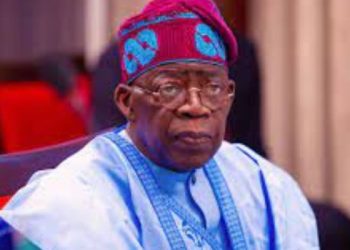 Nigeria will promote free market economy — Tinubu