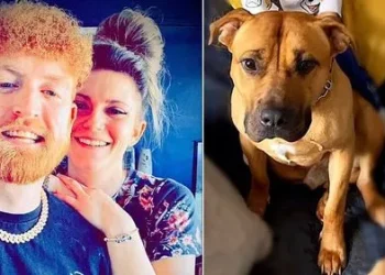 Man to appeal as court rules that his dog should be k!lled after it bit him while he was having sex with girlfriend