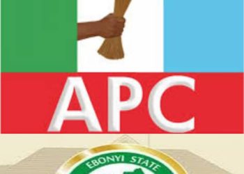 Ebonyi South: Group kick against zoning of senatorial seat to Onicha LGA