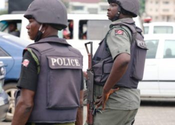 Police arrest man who allegedly killed mother, sister in Enugu
