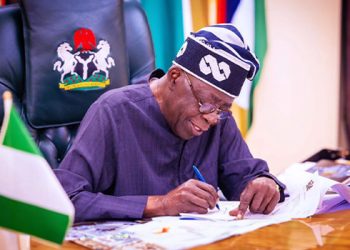 Tinubu Sets Up Panel To Probe N-Power, Other Social Investment ProgrammesTinubu Sets Up Panel To Probe N-Power, Other Social Investment Programmes