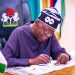 Tinubu Sets Up Panel To Probe N-Power, Other Social Investment ProgrammesTinubu Sets Up Panel To Probe N-Power, Other Social Investment Programmes