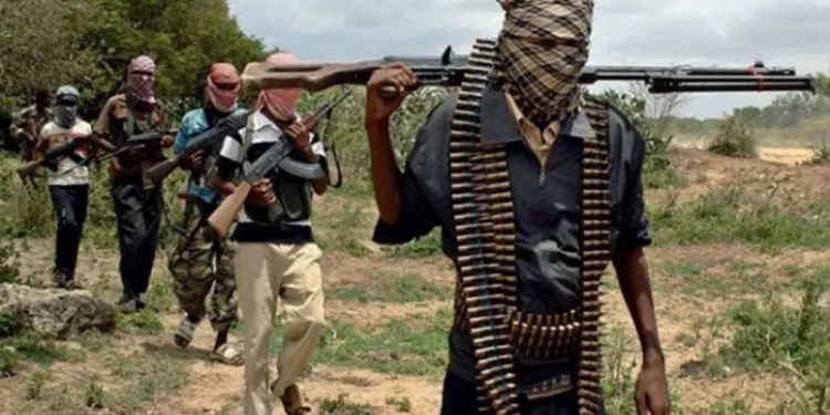 Gunmen strike again, kill 8 in Benue communities