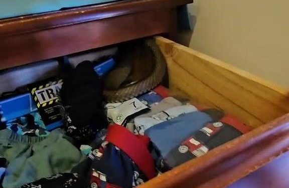 Mother finds venomous snake in 3-year-old’s underwear drawer