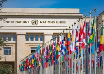 UN forecasts 2.4% global economic growth slowdown in 2024