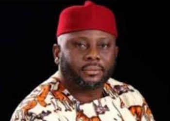 Alleged Certificate Forgery: PDP’s Onu drags Senator Ani to tribunal