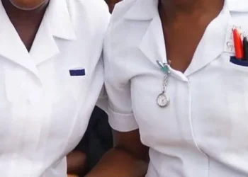Outrage as nursing council demands two years’ experience for certificate verification