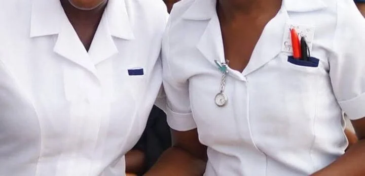 Outrage as nursing council demands two years’ experience for certificate verification