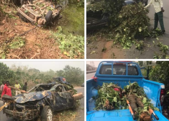 Four die in Ogun auto crash