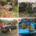Four die in Ogun auto crash