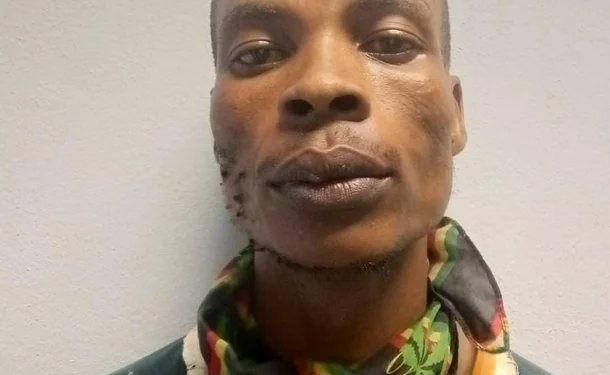 Man sentenced to life imprisonment for raping 90-year-old grandmother and brutally assaulting her with machete