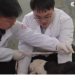 Chinese scientists successfully clone two goats