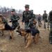 North Korea bans keeping dogs as pets unless they plan to eat them