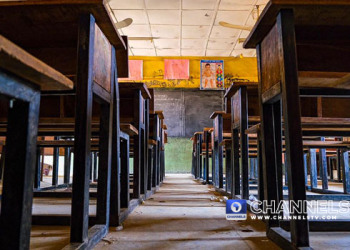 SSANU, NASU Begin Strike Today, Ground Varsities