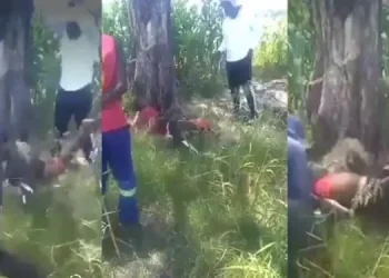 Men arrested for assaulting alleged sugarcane thief