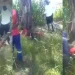 Men arrested for assaulting alleged sugarcane thief