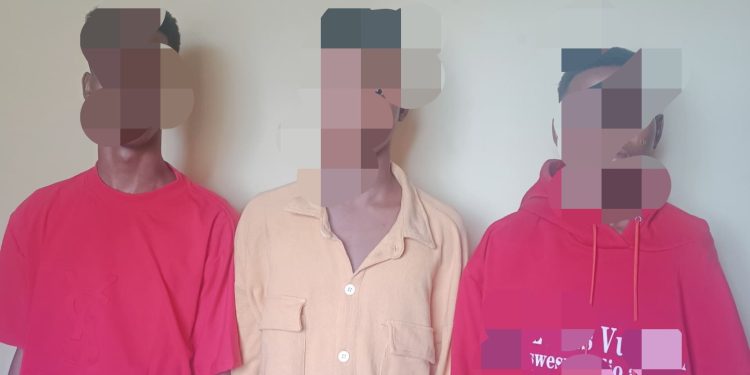 Three teenage friends arrested for faking their kidnap in Delta