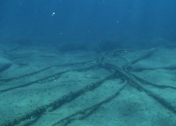 Banks, MTN affected as undersea cable damage causes internet outage in Nigeria