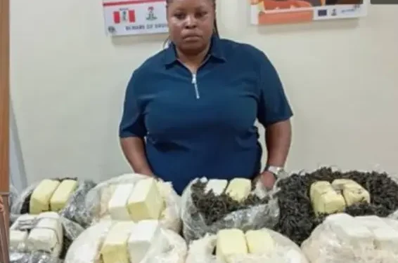 NDLEA intercepts Qatar-bound drugs, operatives reject N5m bribe