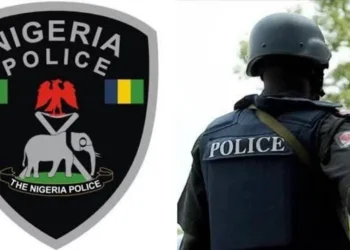 Police nab woman with 317 live ammunition in Benue