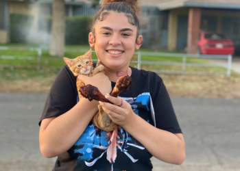 14-year-old girl arrested for murder of 20-year-old daughter of nonprofit CEO