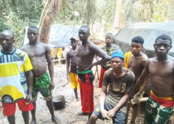 Elders, chiefs cry out as foreign illegal gold miners take over Cross River community