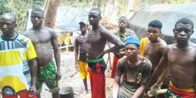Elders, chiefs cry out as foreign illegal gold miners take over Cross River community