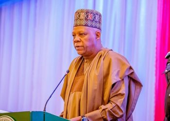 Tinubu’s Tax Reforms Not To Frustrate Nigerians — Shettima