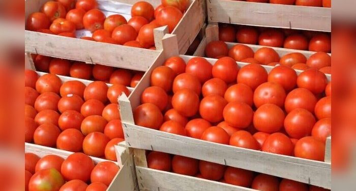 Lagos Market Clash: Unions Threaten To Cut Tomato Supply To South