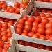Lagos Market Clash: Unions Threaten To Cut Tomato Supply To South