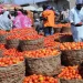 Nigerians groan over high tomato prices as one big basket costs N100,000