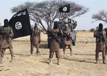 Bloodbath In Borno As Multiple Bomb Blasts Claim 30, Injure 100
