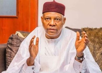 Nigeria Needs Good Governance Not Change In System – Shettima
