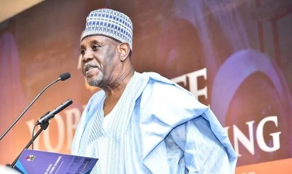 Babagana Kingibe: Nigeria not doing badly after 25 years of democracy
