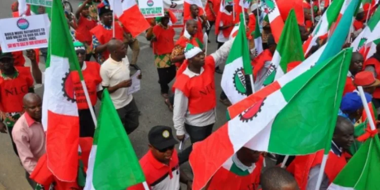 Strike: Attempt to intimidate us will worsen matters — NLC