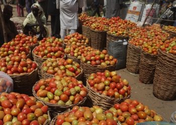 Lagos Food Market Chairman Links High Cost Of Tomato, Pepper To Insecurity, Others
