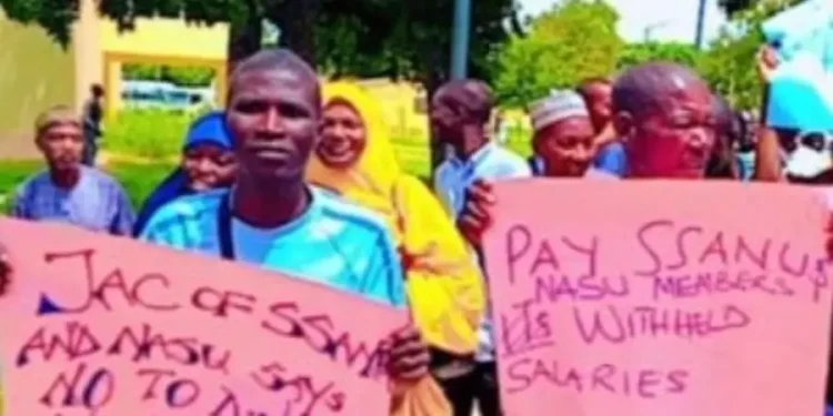 SSANU, NASU ATBU stage protest, demand sack of Labour, Education Ministers over unfulfilled promises