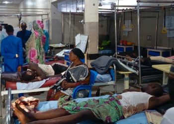 Deploy Modern Equipment Against Insurgents, Senate Tells Army